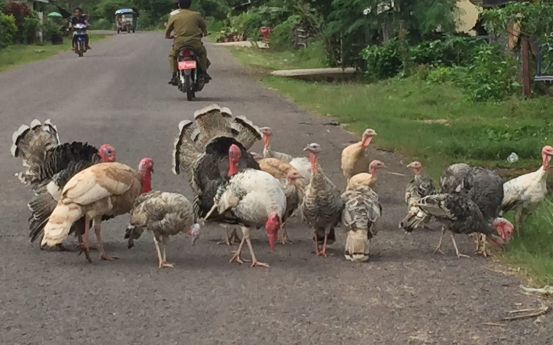 Laos